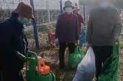 监控下的温情，老人带娃偷菜引发社会关注