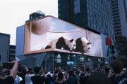 成都巨型3D蛇广告因争议被撤下，创意与争议的较量