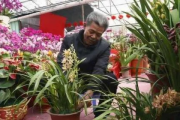 男子卖2盆花被索赔5万，网友热议，这啥花竟值这么多？