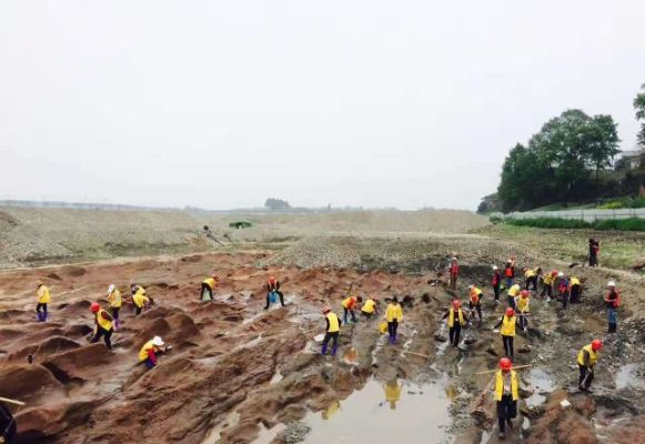 河南一地众人下河摸金？当地回应，坚决打击非法盗采行为