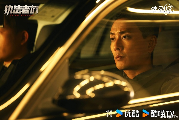 执法者们，剧情节奏把控，演绎悬疑探案之极致享受