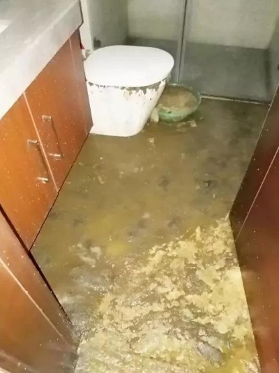 婚房变粪池，业主婚期临近，婚房惨遭粪水浸泡，崩溃不已！